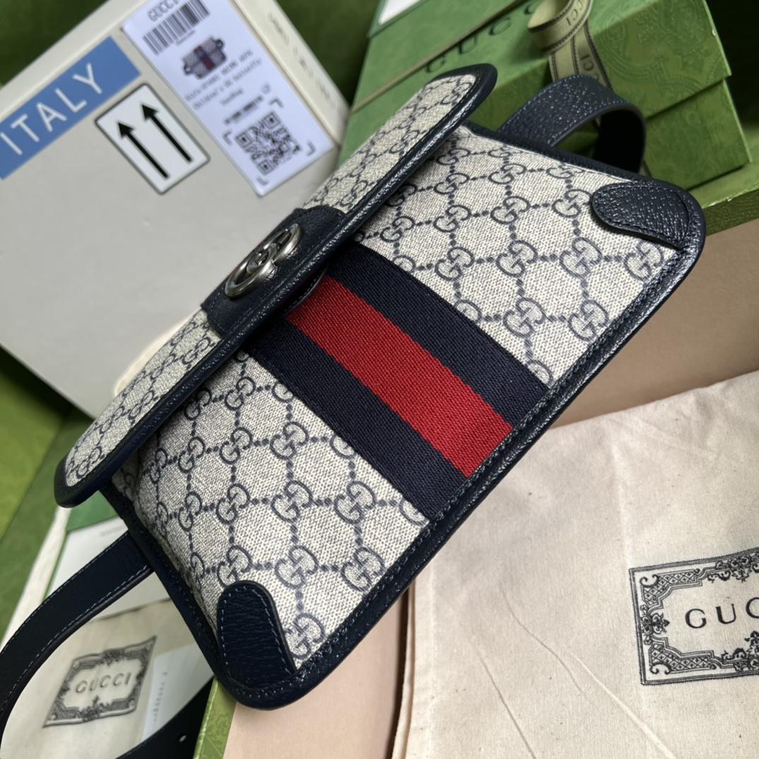 Gucci Ophidia Belt Bag(22*17*3.5cm) - PerfectKickZ