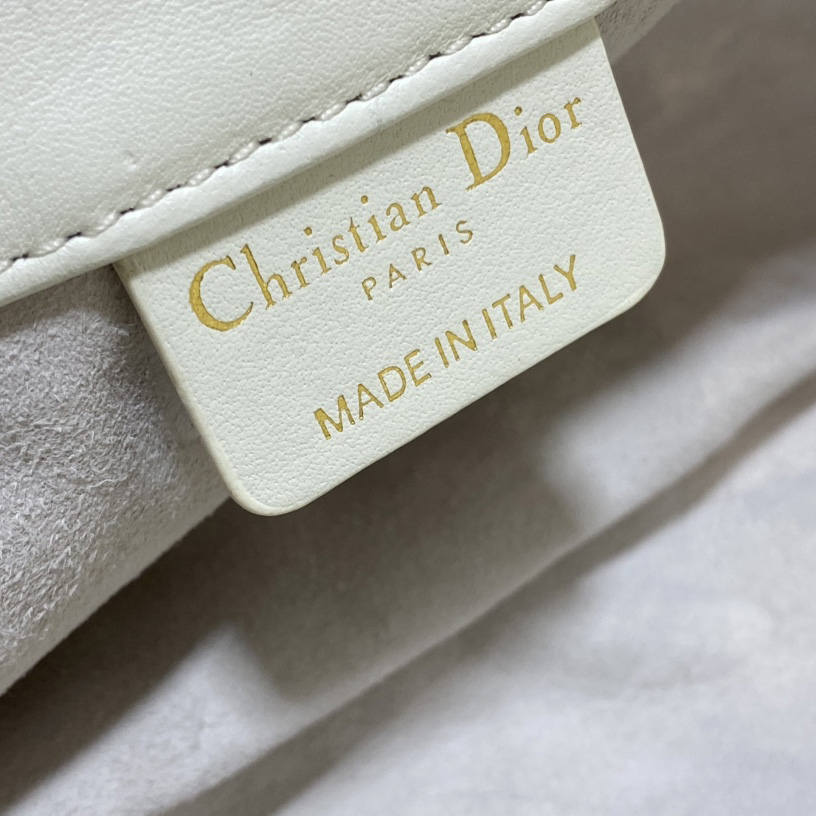 Dior Medium Dior Ammi Bag - PerfectKickZ