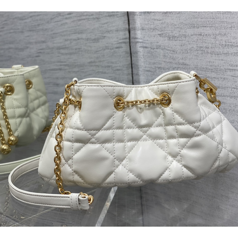 Dior Medium Dior Ammi Bag - PerfectKickZ