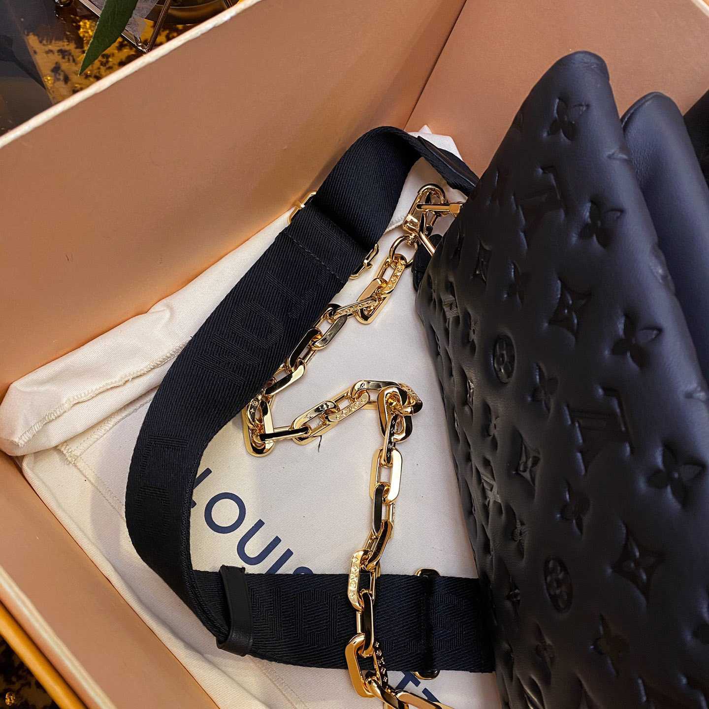 Louis Vuitton Coussin Black Lamb (26 x 20 x 12cm)    M57790  - PerfectKickZ