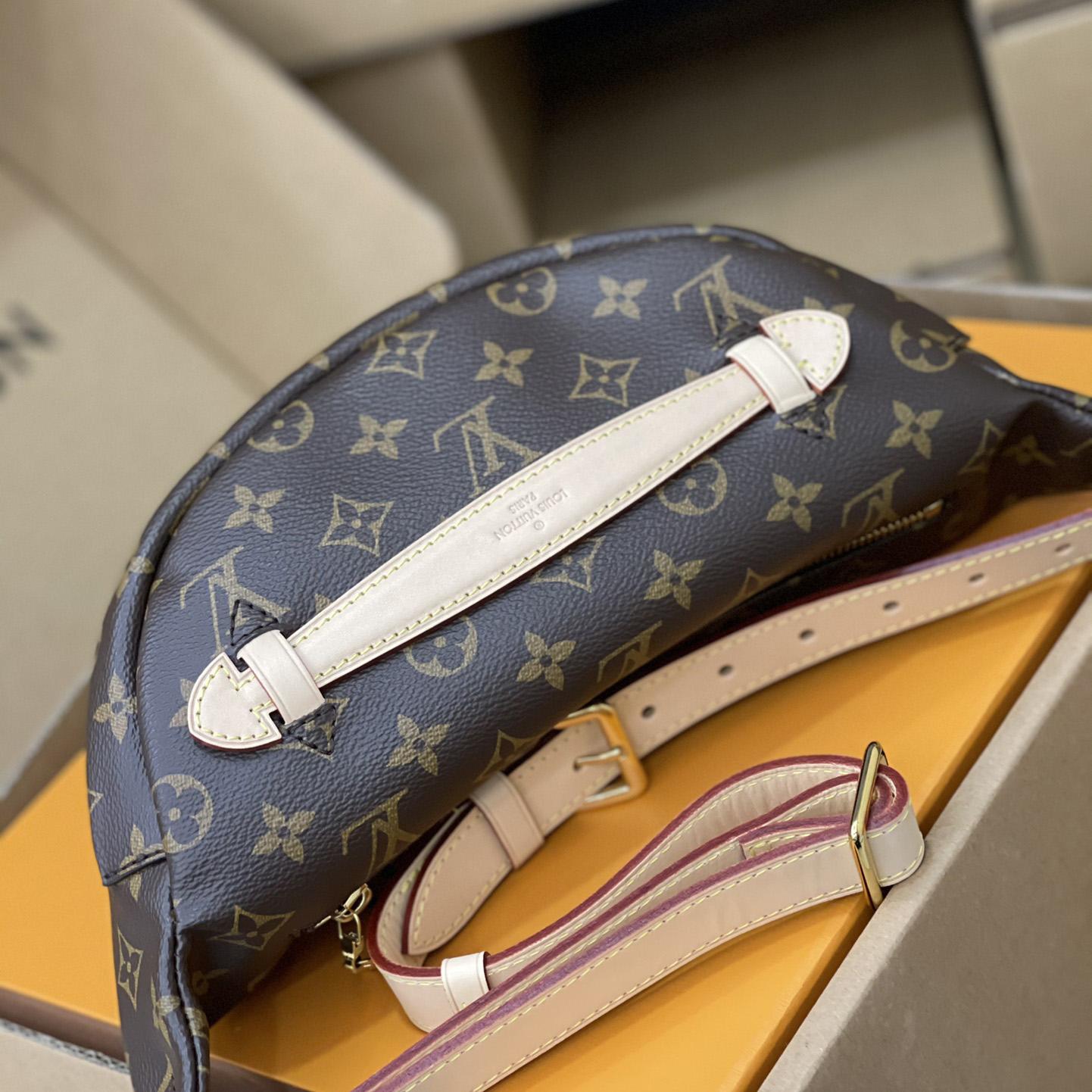 Louis Vuitton Bumbag(37-14-13cm)      M43644 - PerfectKickZ