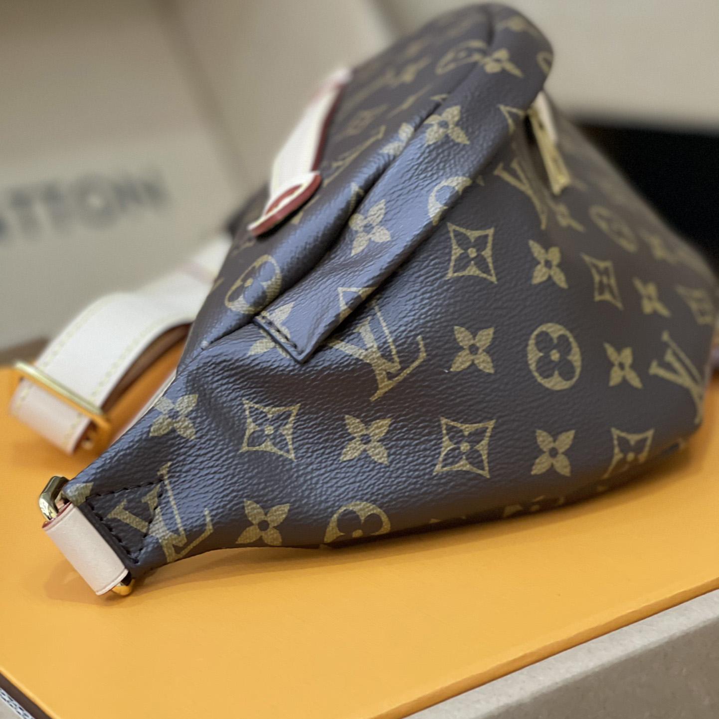 Louis Vuitton Bumbag(37-14-13cm)      M43644 - PerfectKickZ