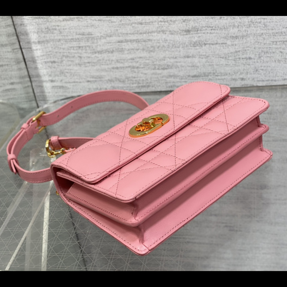 Dior Miss Caro Mini Bag - PerfectKickZ