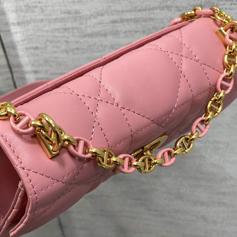 Dior Miss Caro Mini Bag - PerfectKickZ