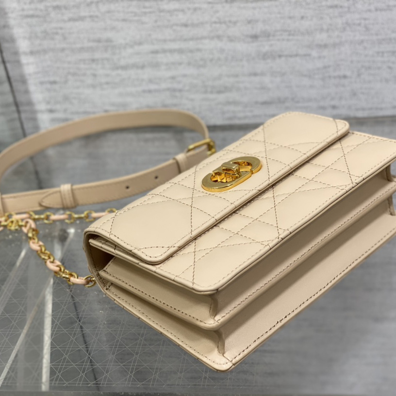 Dior Miss Caro Mini Bag - PerfectKickZ