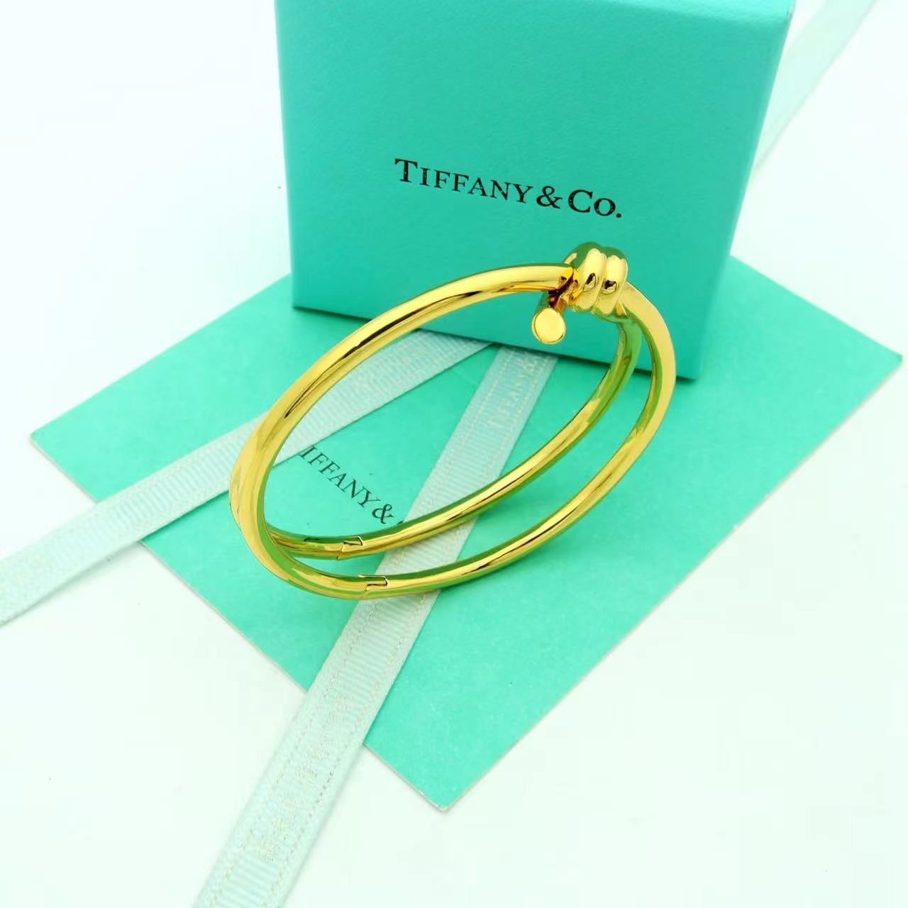 Tiffany&CO Tiffany Knot Double Row Hinged Bangle  - PerfectKickZ