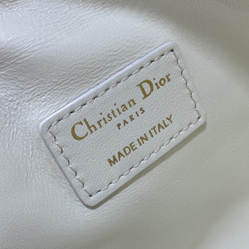Dior Medium DiorTravel Nomad Pouch - PerfectKickZ