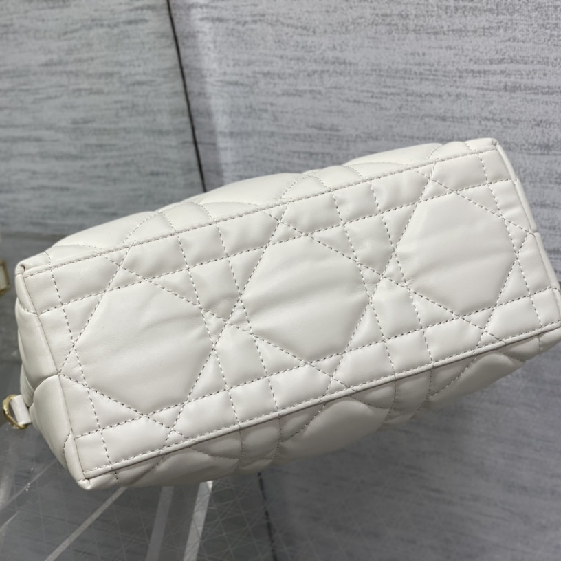 Dior Medium DiorTravel Nomad Pouch - PerfectKickZ