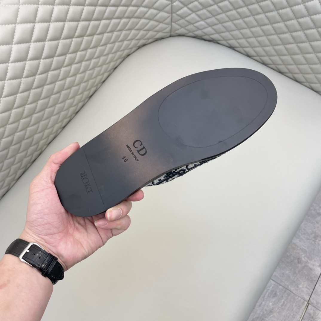 Dior Indior Mule - PerfectKickZ