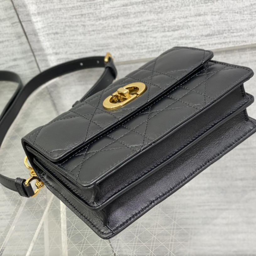Dior Miss Caro Mini Bag - PerfectKickZ
