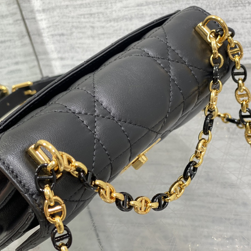 Dior Miss Caro Mini Bag - PerfectKickZ