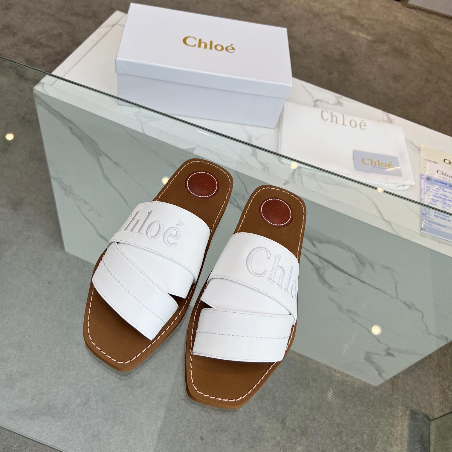 Chloe Woody Flat Mule - PerfectKickZ