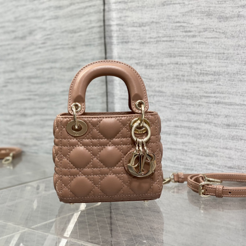 Dior Lady Dior Micro Bag - PerfectKickZ