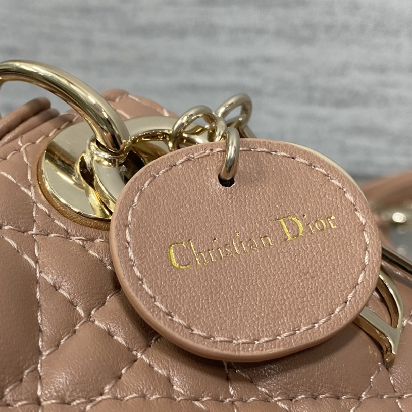 Dior Lady Dior Micro Bag - PerfectKickZ