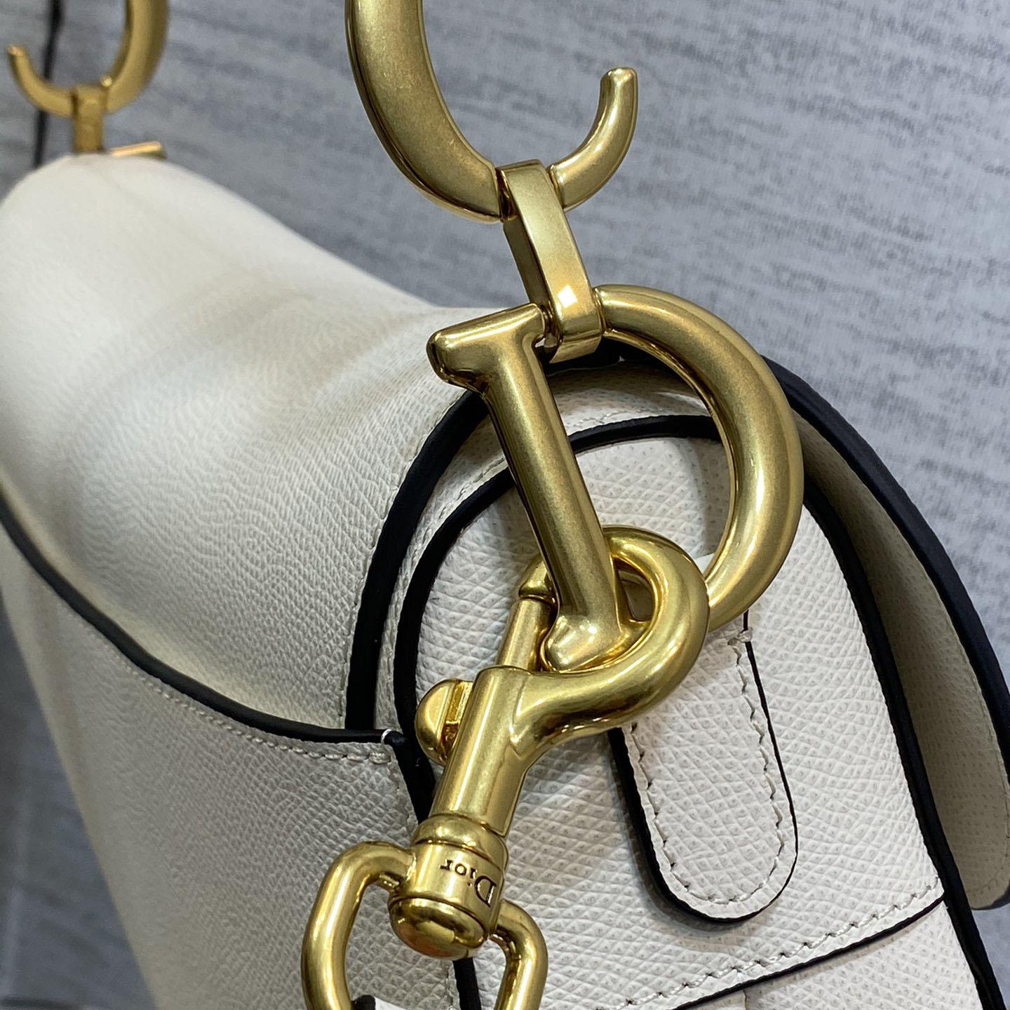 Dior Saddle Bag  - PerfectKickZ