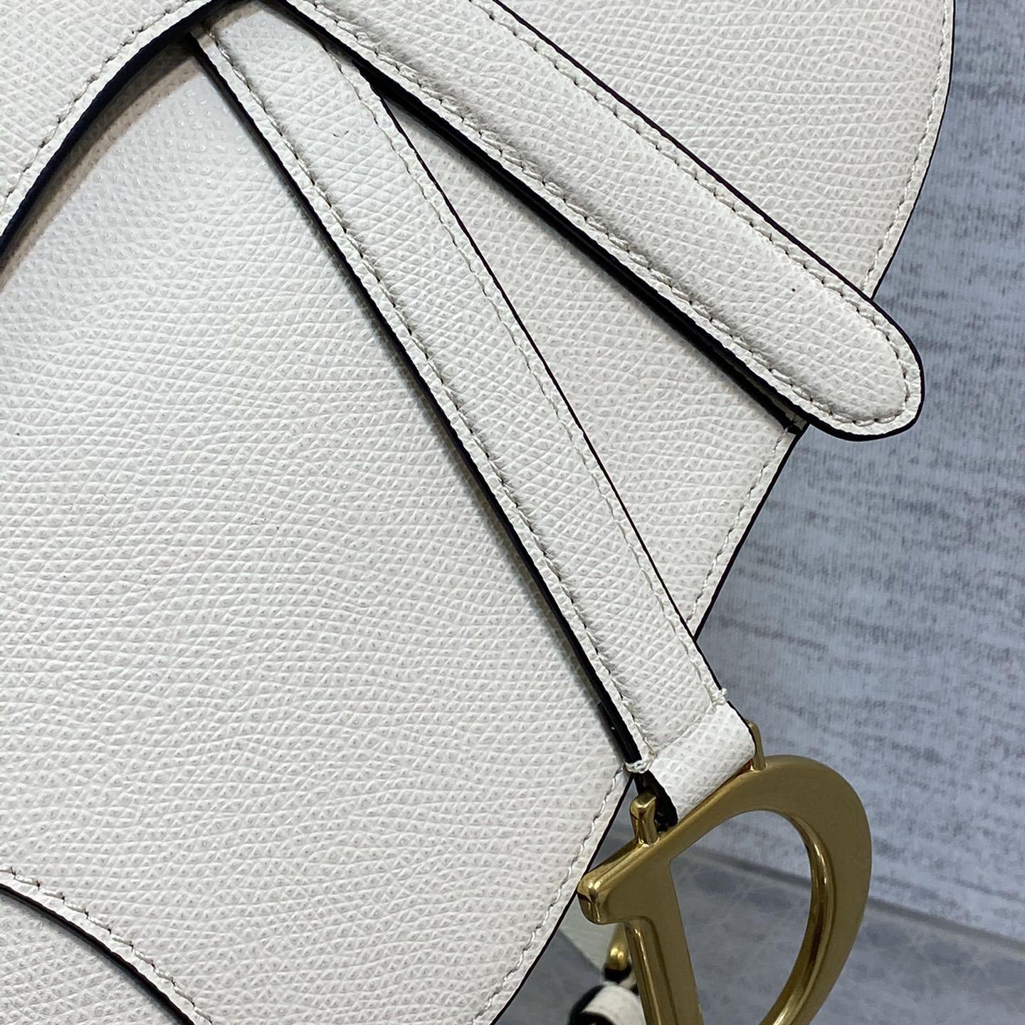 Dior Saddle Bag  - PerfectKickZ