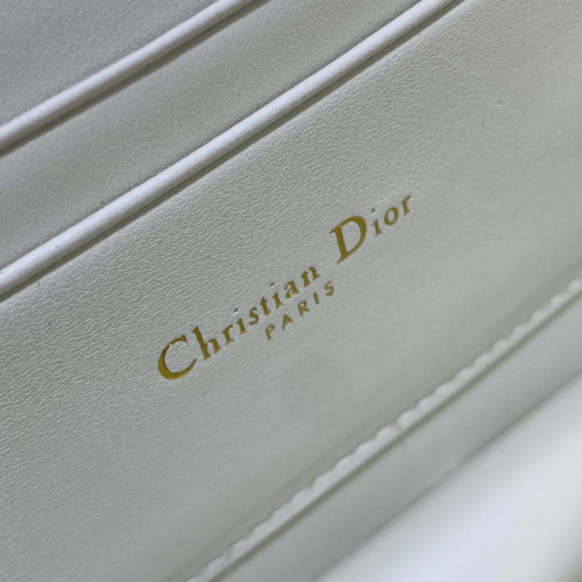 Dior Miss Caro Mini Bag - PerfectKickZ