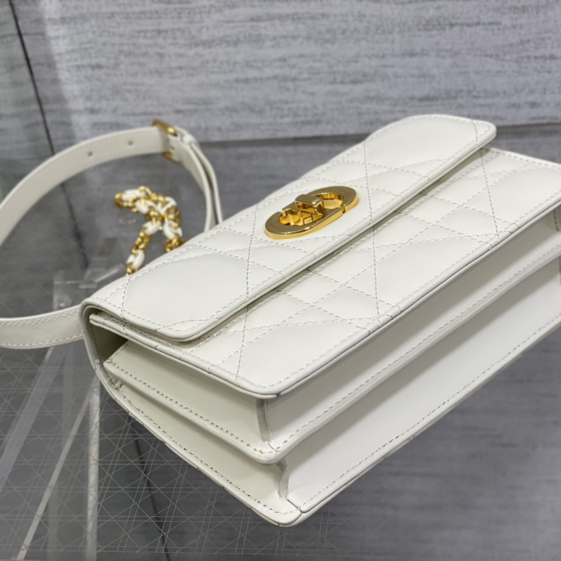 Dior Miss Caro Mini Bag - PerfectKickZ