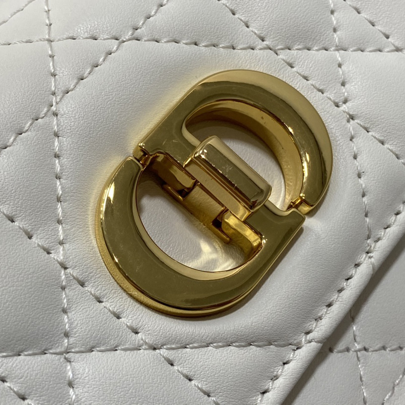 Dior Miss Caro Mini Bag - PerfectKickZ