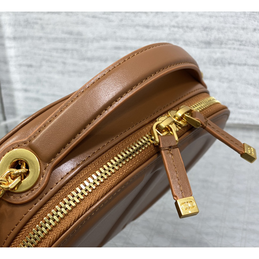 Dior CD Signature Oval Camera Bag - PerfectKickZ