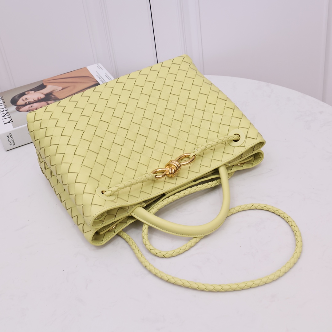 Bottega Veneta Medium Andiamo - PerfectKickZ