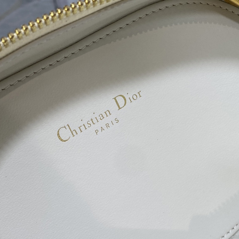 Dior CD Signature Oval Camera Bag - PerfectKickZ