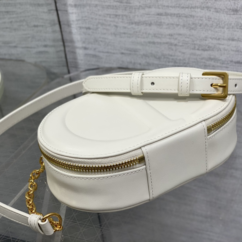 Dior CD Signature Oval Camera Bag - PerfectKickZ
