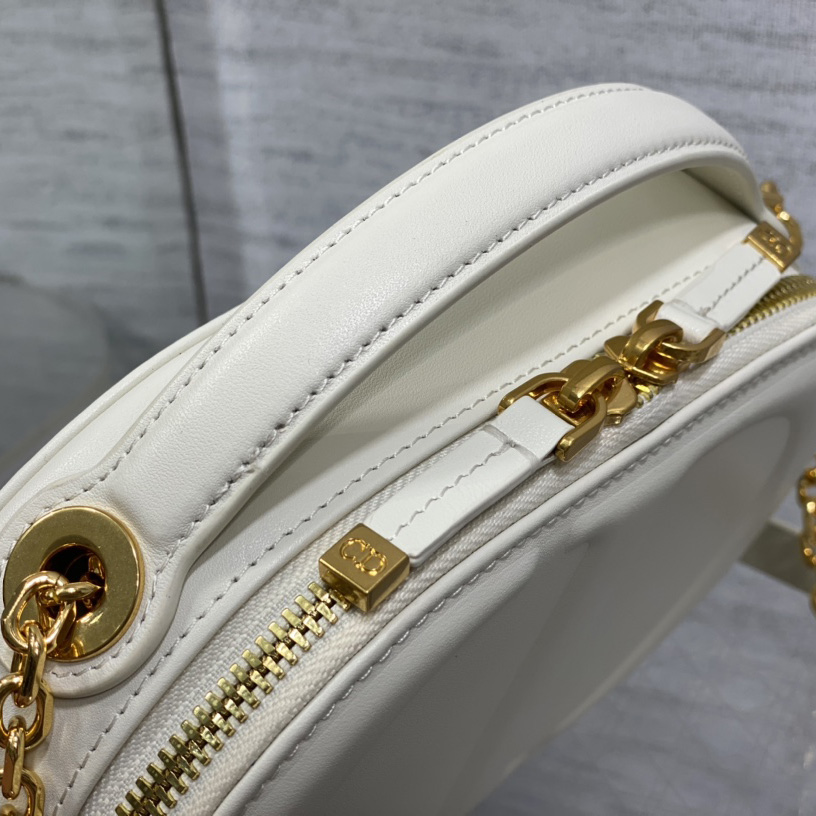 Dior CD Signature Oval Camera Bag - PerfectKickZ