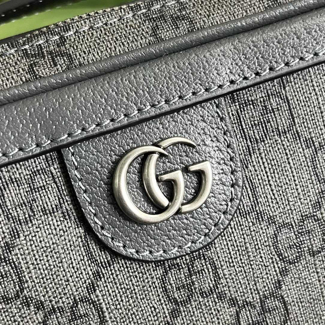 Gucci Ophidia Small Shoulder Bag (24x 16x 7cm) - PerfectKickZ