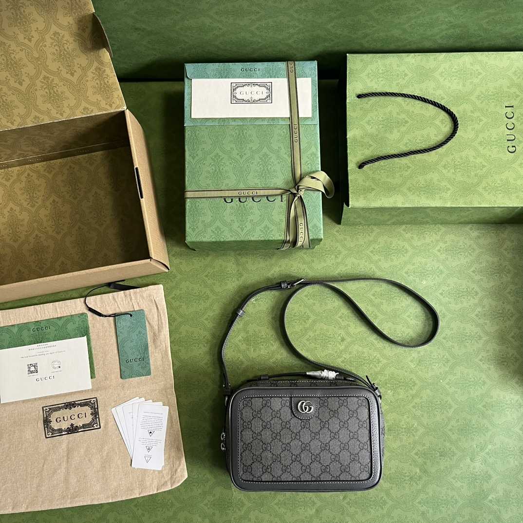 Gucci Ophidia Small Shoulder Bag (24x 16x 7cm) - PerfectKickZ