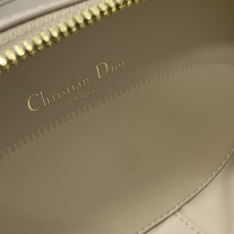 Dior CD Signature Oval Camera Bag - PerfectKickZ