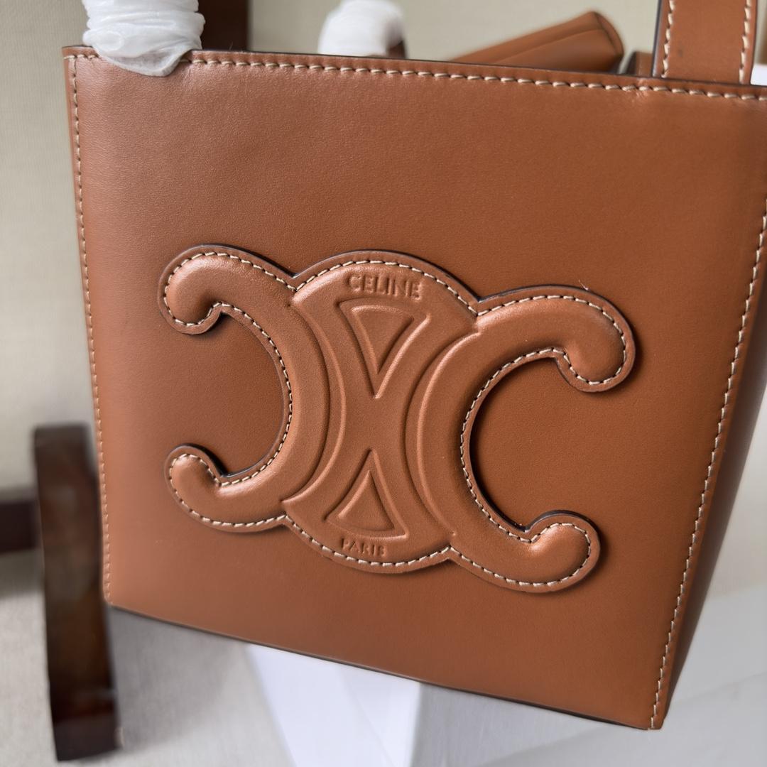 Celine Cube Bag Cuir Triomphe In Shiny Calfskin (15-15-15cm) - PerfectKickZ