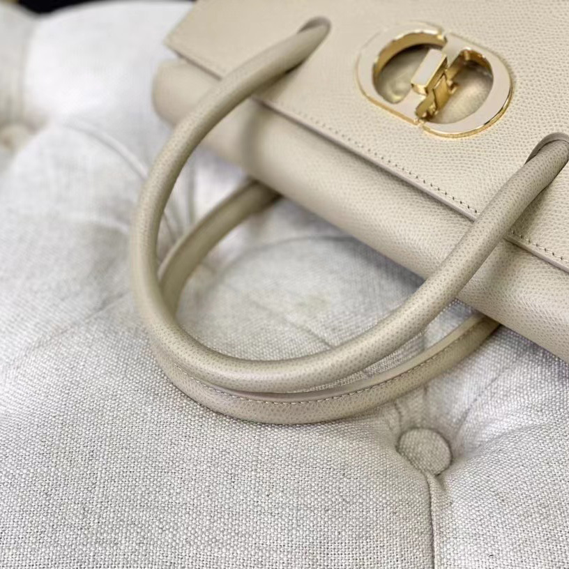 Dior Medium St. Honore Tote (25 -19-12 cm) - PerfectKickZ