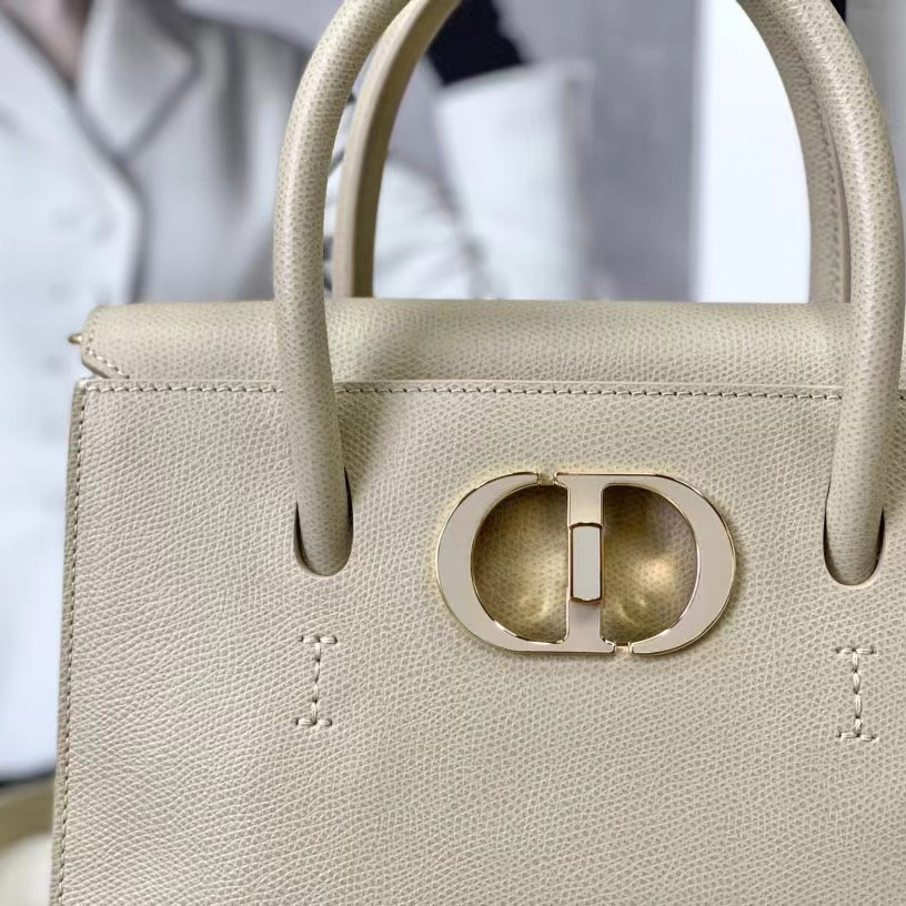 Dior Medium St. Honore Tote (25 -19-12 cm) - PerfectKickZ