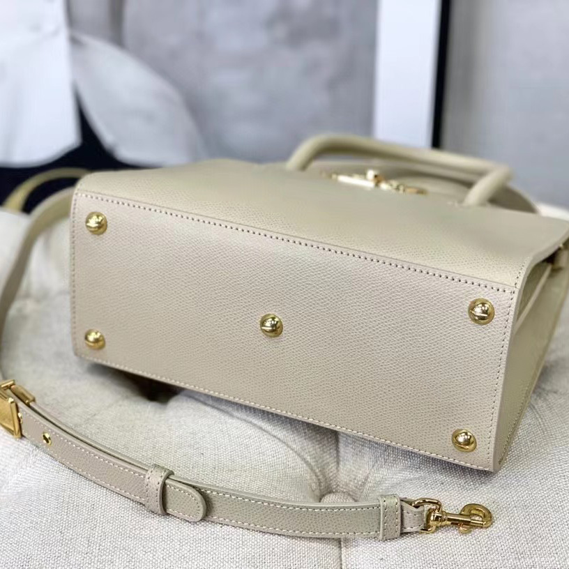 Dior Medium St. Honore Tote (25 -19-12 cm) - PerfectKickZ