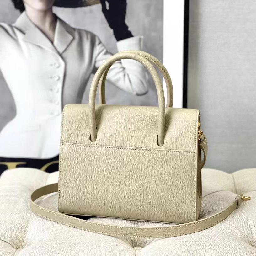 Dior Medium St. Honore Tote (25 -19-12 cm) - PerfectKickZ
