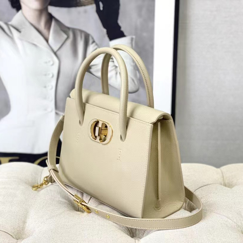 Dior Medium St. Honore Tote (25 -19-12 cm) - PerfectKickZ