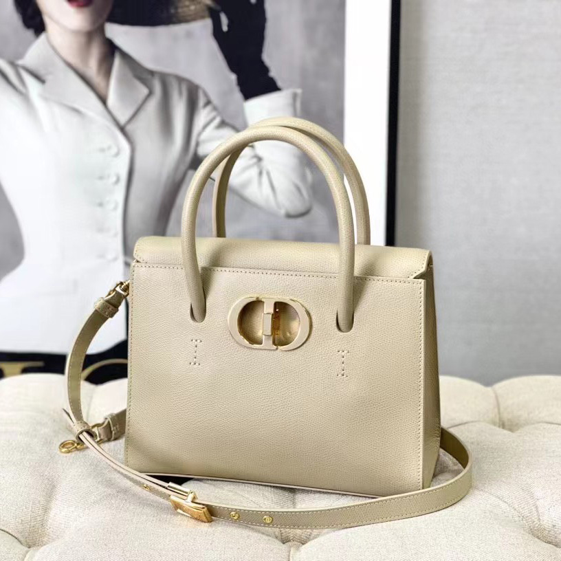 Dior Medium St. Honore Tote (25 -19-12 cm) - PerfectKickZ