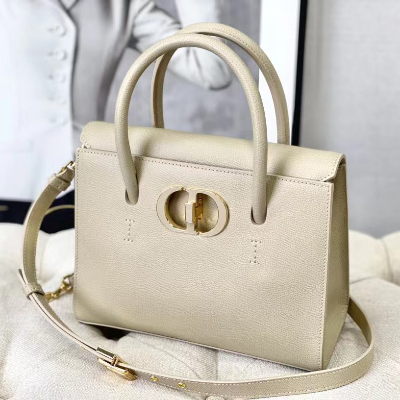 Dior Medium St. Honore Tote (25 -19-12 cm) - PerfectKickZ