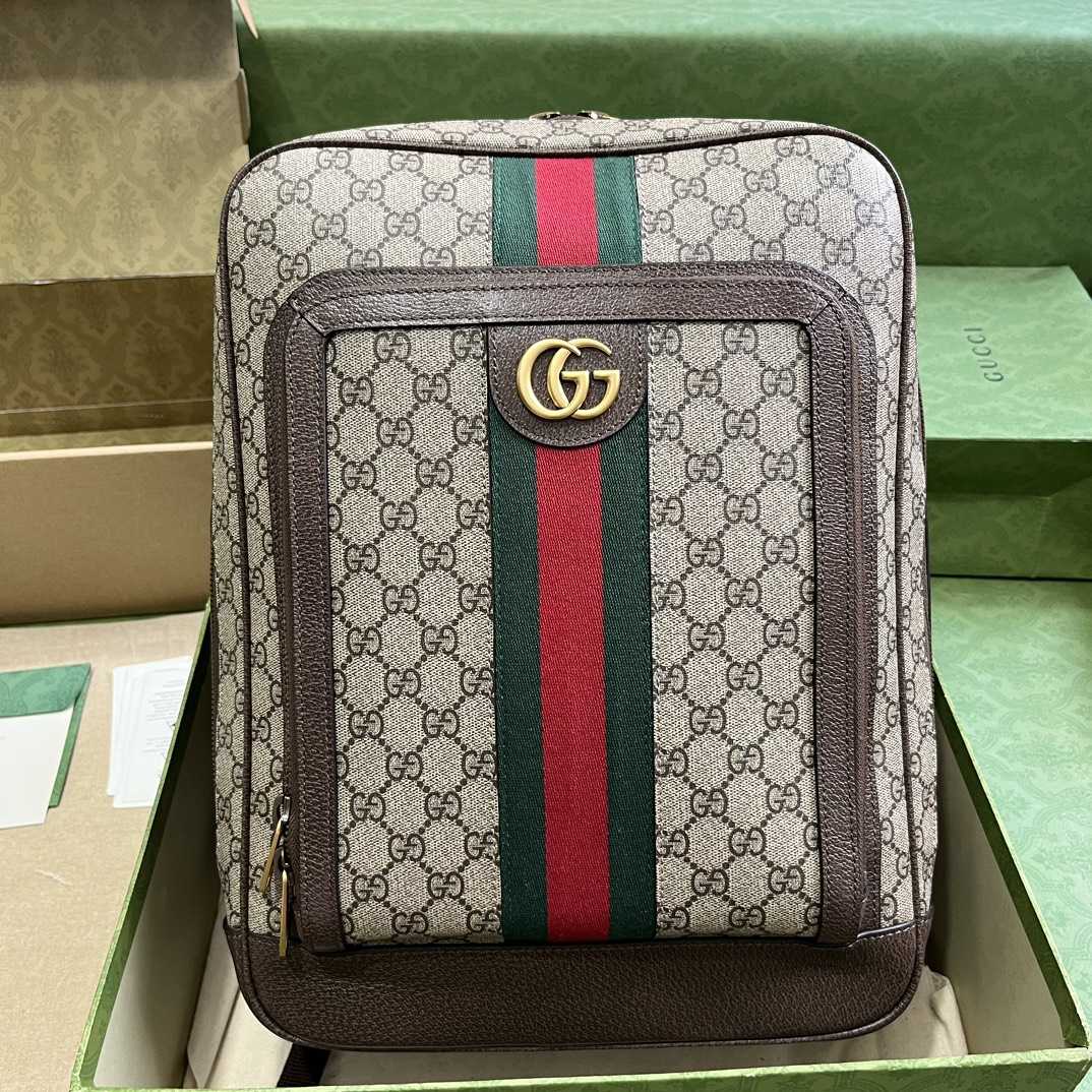 Gucci Ophidia GG Medium Backpack (40-30-14cm) - PerfectKickZ