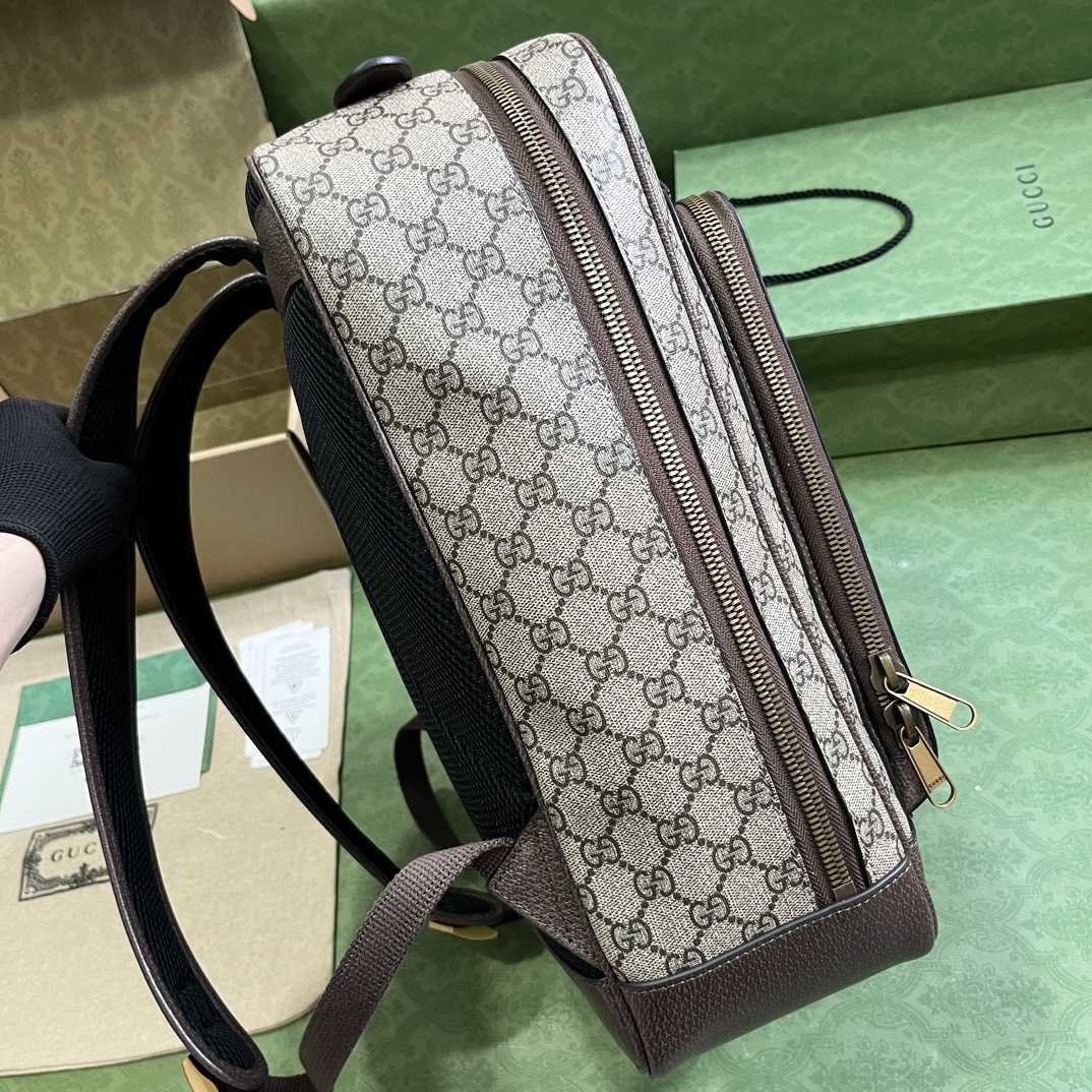 Gucci Ophidia GG Medium Backpack (40-30-14cm) - 
