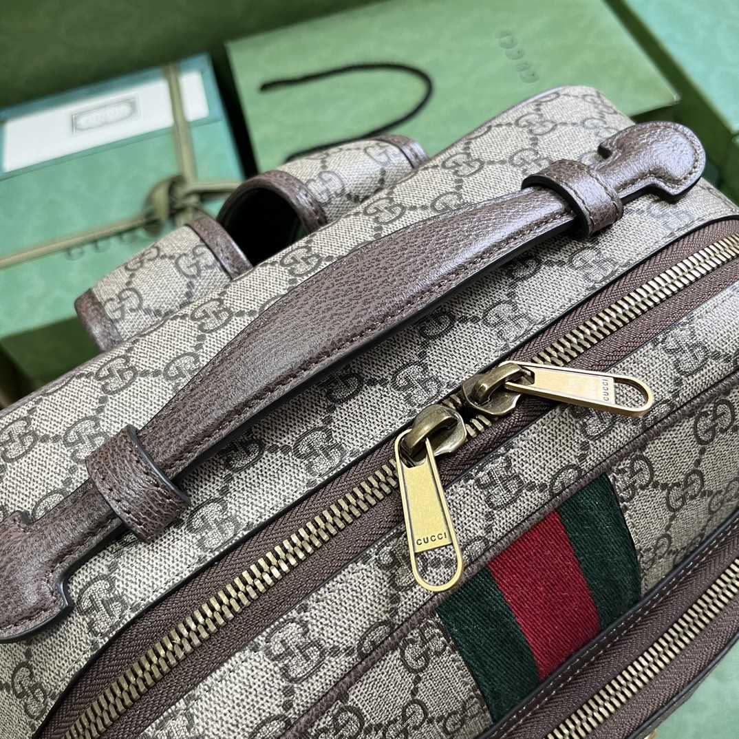 Gucci Ophidia GG Medium Backpack (40-30-14cm) - 