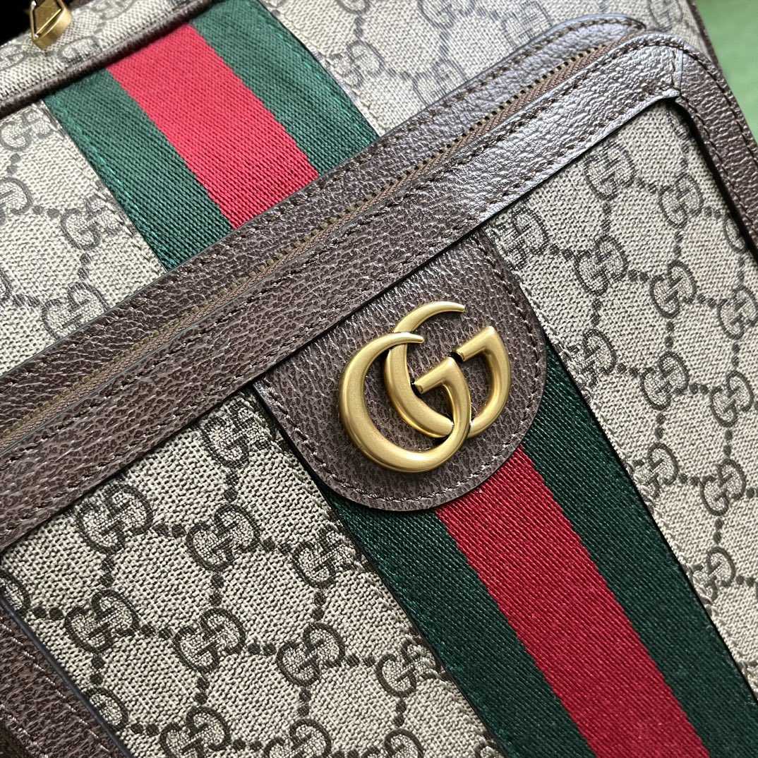 Gucci Ophidia GG Medium Backpack (40-30-14cm) - 
