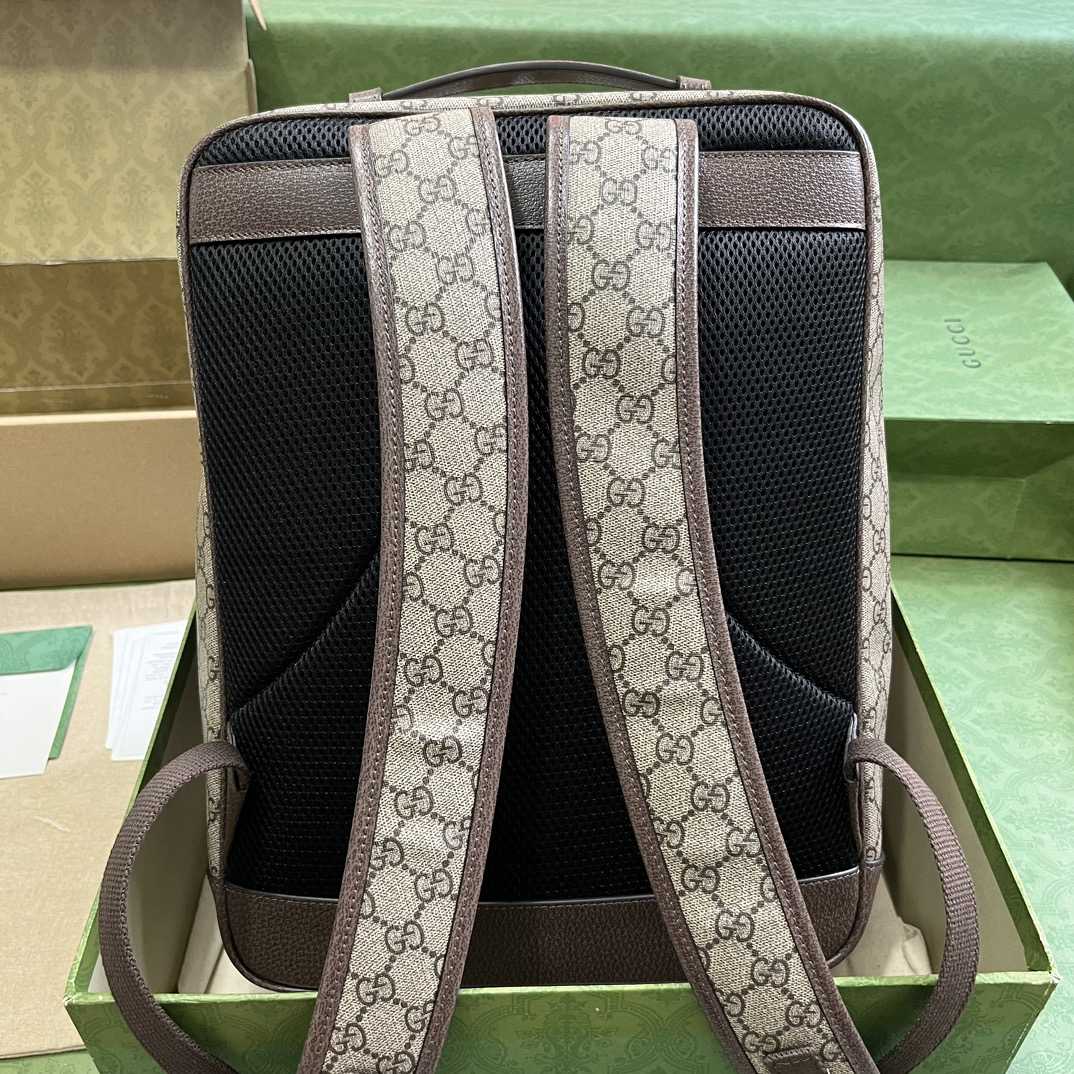Gucci Ophidia GG Medium Backpack (40-30-14cm) - 