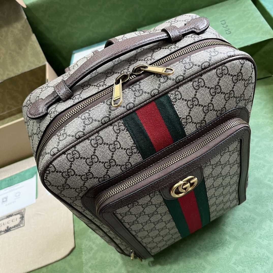 Gucci Ophidia GG Medium Backpack (40-30-14cm) - 