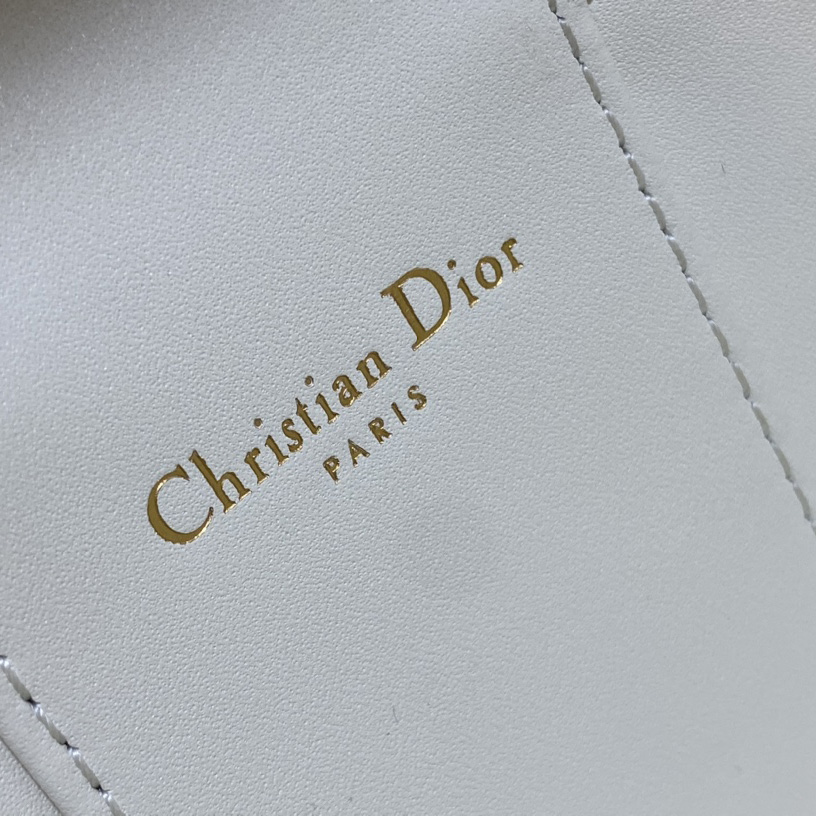 Dior Small CD Signature Vanity Case - PerfectKickZ