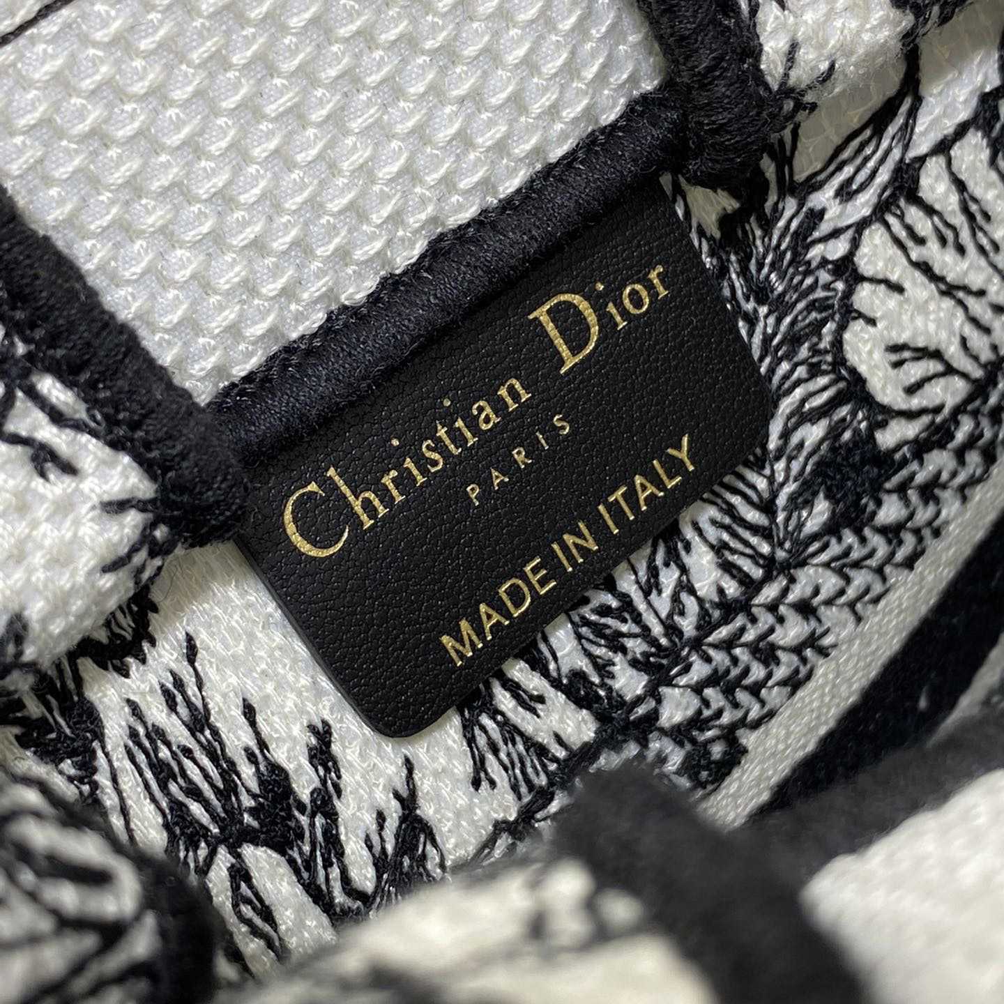 Dior Mini Dior Book Tote Phone Bag - PerfectKickZ