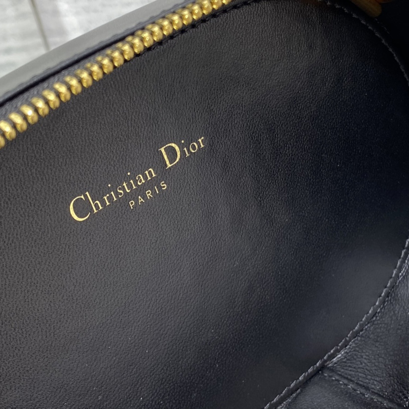 Dior CD Signature Oval Camera Bag - PerfectKickZ