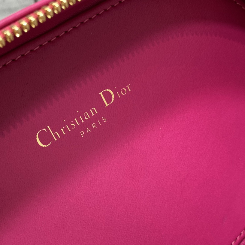 Dior CD Signature Oval Camera Bag - PerfectKickZ