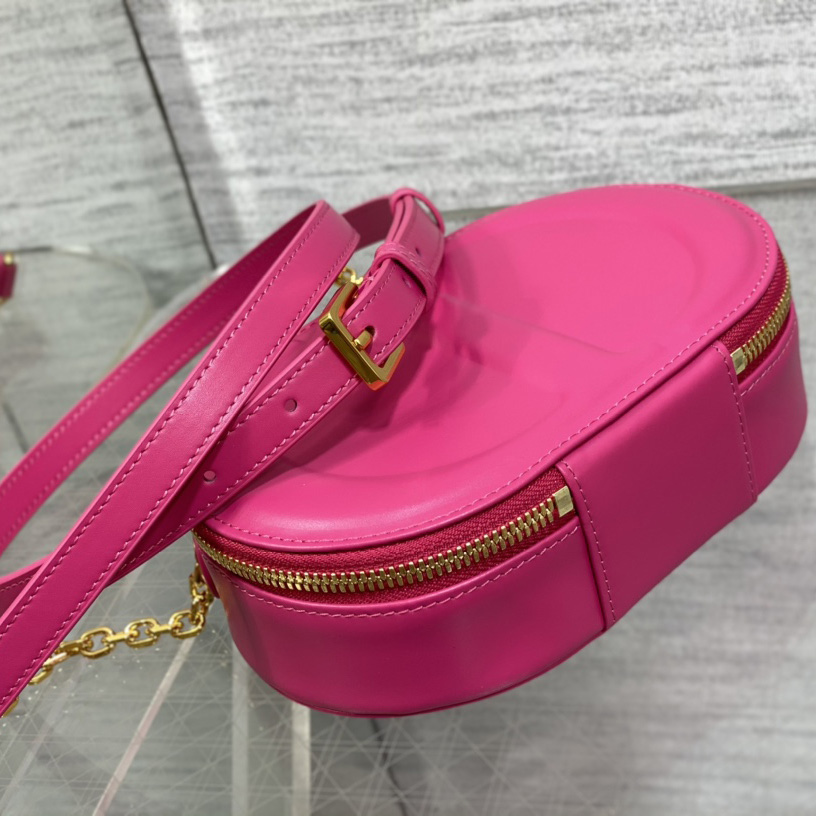 Dior CD Signature Oval Camera Bag - PerfectKickZ